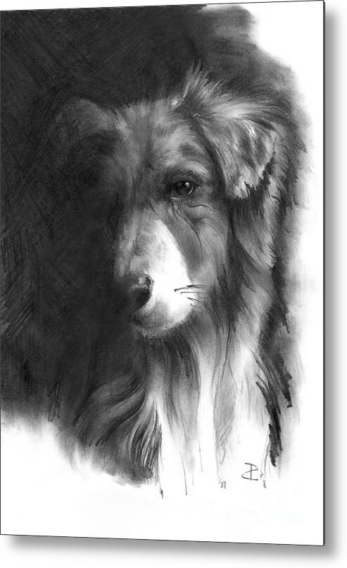Dog Metal Print featuring the drawing Timmy sketch by Paul Davenport