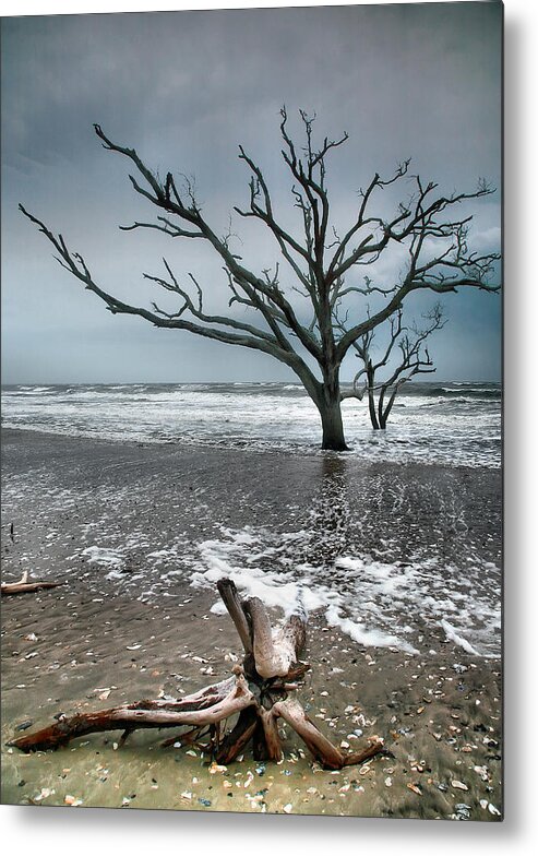Ocean Metal Print featuring the photograph Trees In Surf by Steven Ainsworth