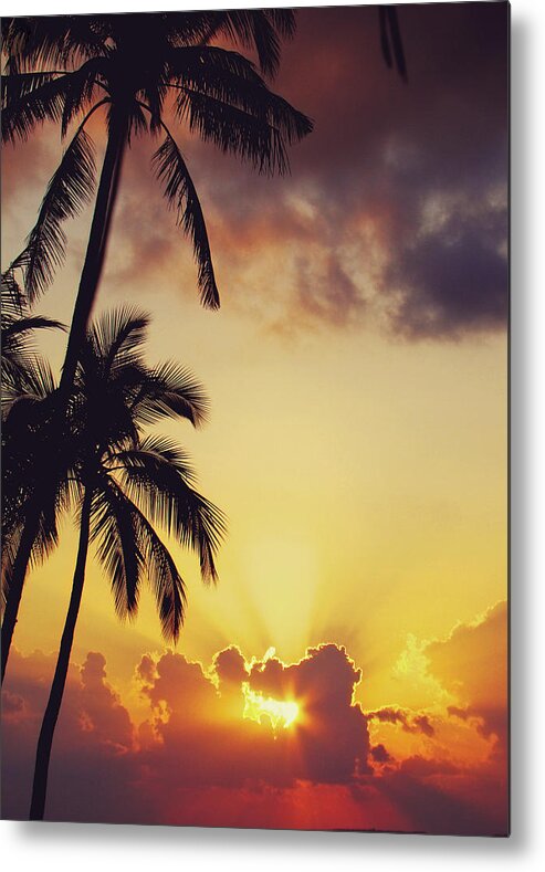 Tropical Metal Print featuring the photograph Tropical Sunset by Jenny Rainbow