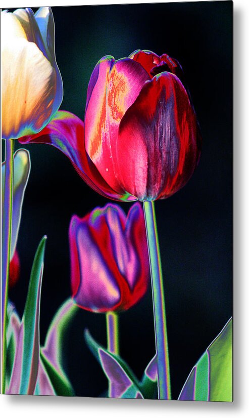 Tulips Metal Print featuring the digital art Two Lips 4 You by Joseph Coulombe