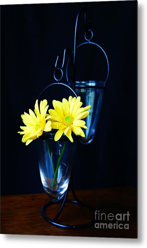 Flower Metal Print featuring the photograph Two Yellow Daisies by Kerri Mortenson