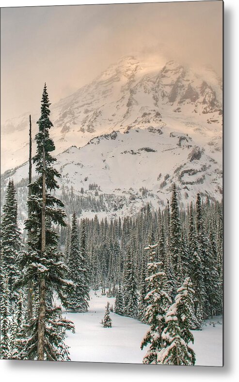 Mt Rainiermountainsnowglacierswinter Sceneevergreens Metal Print featuring the photograph Veiled Mountain by Jeff Cook