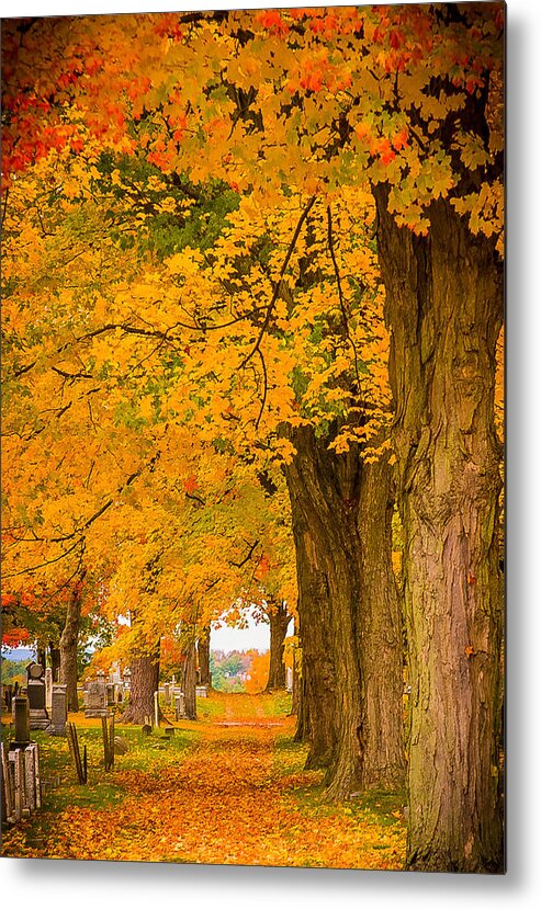 Autumn Foliage Metal Print featuring the photograph Walk the path to see where it goes by Jeff Folger