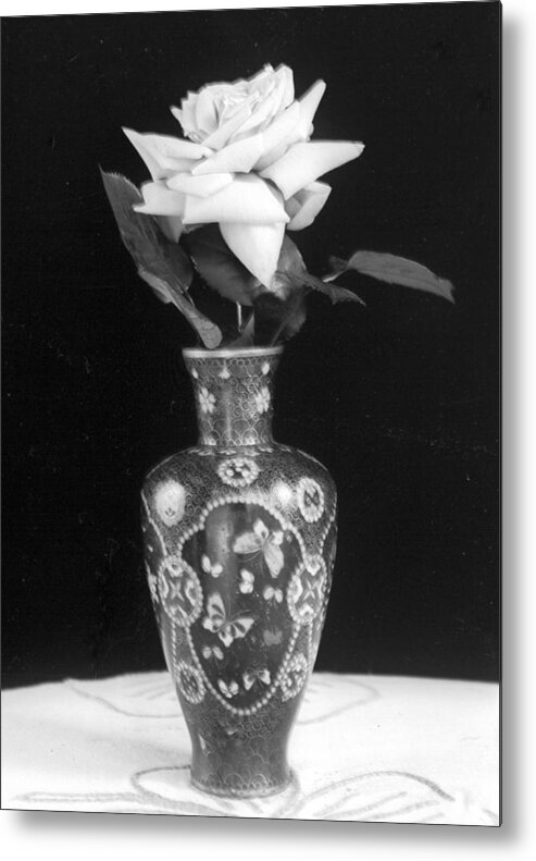 White Rose Metal Print featuring the photograph White Rose Antique Vase by William Haggart