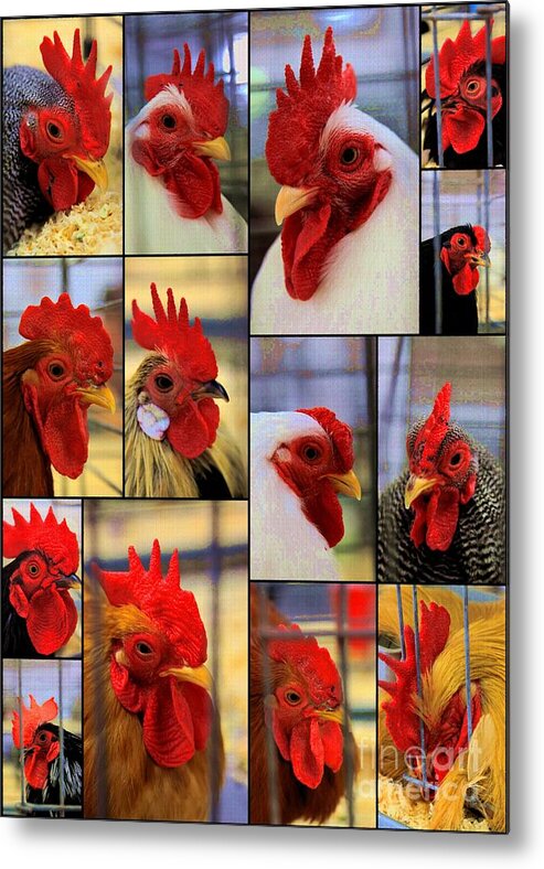 Roosters Metal Print featuring the photograph Whole lot of Clucking Going On by Rick Rauzi