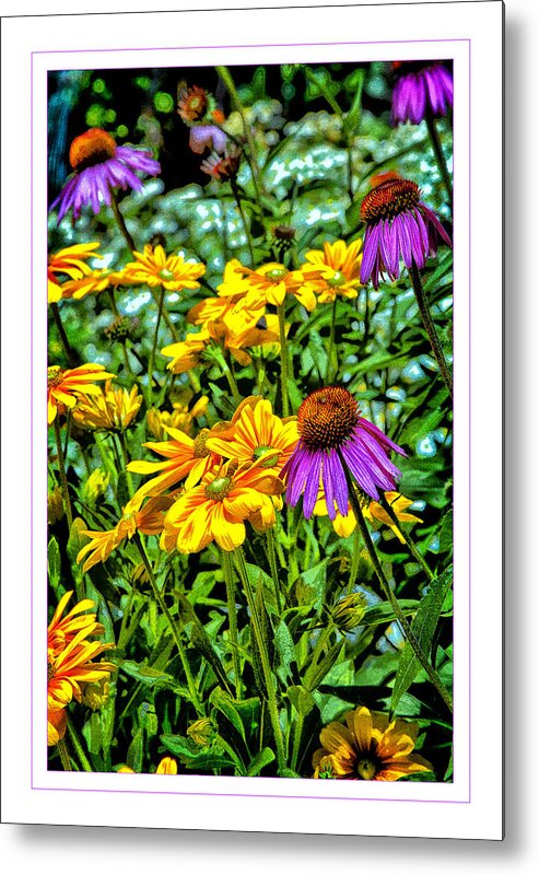 Coneflower Metal Print featuring the photograph Wildflowers by Monroe Payne