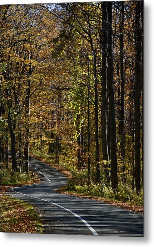 Path Metal Print featuring the photograph Winding Road In The Woods by Owen Weber