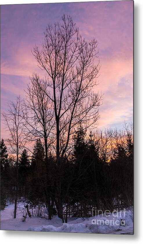 Winter Metal Print featuring the photograph Winter Morning Sky by Cheryl Baxter