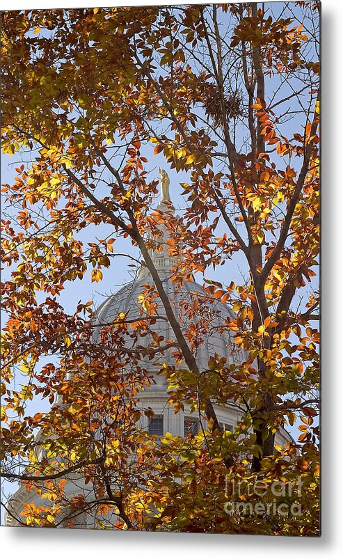 Capitol Metal Print featuring the photograph Wisconsin Capitol by Steven Ralser