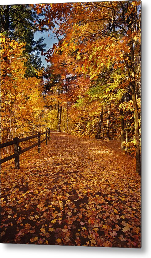 Fall Metal Print featuring the photograph Golden Path by Ron Weathers