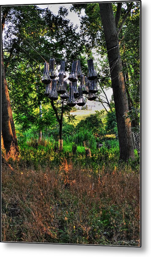  Metal Print featuring the photograph 002 Bat Homes by Michael Frank Jr