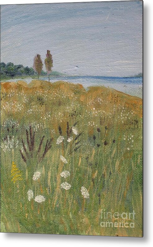 Meadow Metal Print featuring the painting Queen Anne's Lace by Jackie Irwin