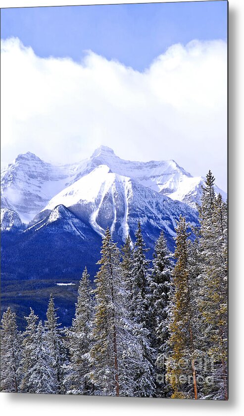 Mountain Metal Print featuring the photograph Winter mountains 2 by Elena Elisseeva