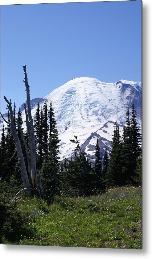 Mt. Rainier Metal Print featuring the photograph Mt. Rainier #2 by Jerry Cahill