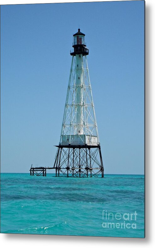 Lighthouse Metal Print featuring the photograph Alligator Lighthouse by Carol Bradley