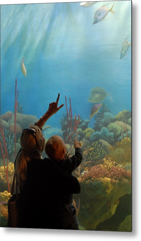 Aquarium Art Metal Print featuring the photograph Aquarium 75 by Joyce StJames