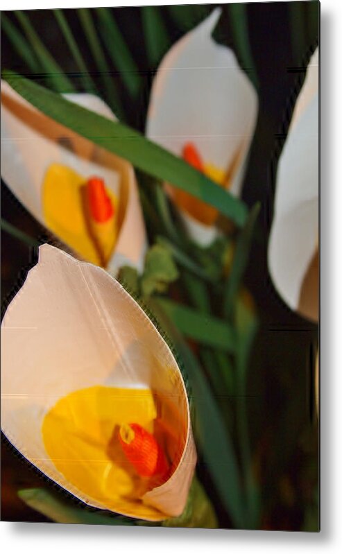 Fine Art Metal Print featuring the photograph Calla Lilly's 'ala Duck Tape by Laura Grisham