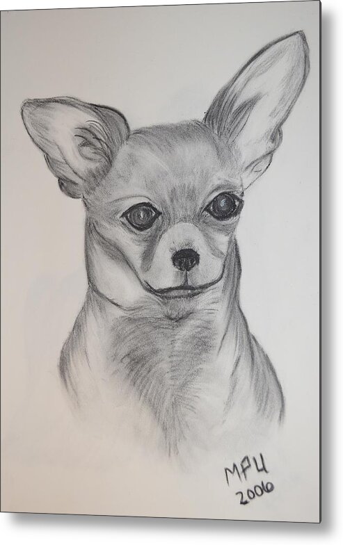 Chi Chi Metal Print featuring the drawing Chi Chi by Maria Urso