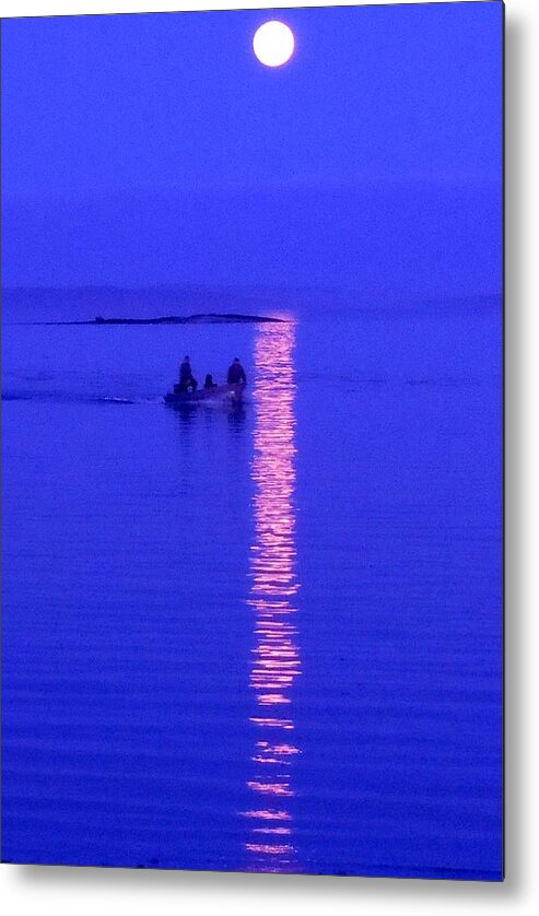 Loberstermen Metal Print featuring the photograph Coming Home by Francine Frank