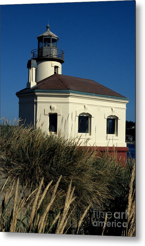 Coquille Metal Print featuring the photograph Coquille Light by Sharon Elliott