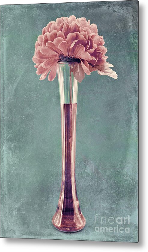 still Life Metal Print featuring the photograph Estillo Vase - s01v4b2t03 by Variance Collections