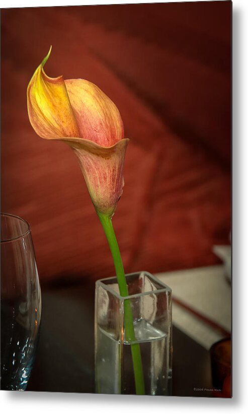 Flower Metal Print featuring the photograph Flower and Vase by Frank Mari