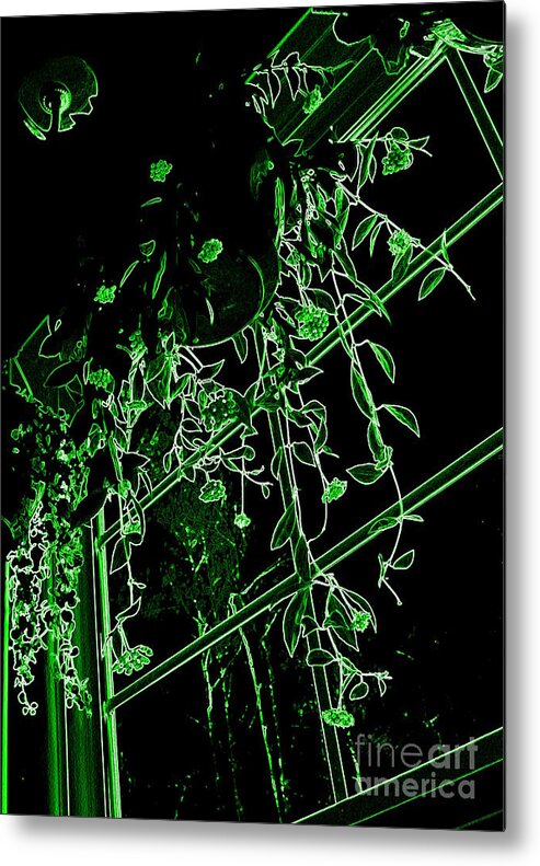 Hanging Metal Print featuring the photograph Hanging Plants in Window by Renee Trenholm