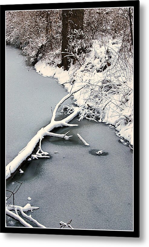 Woods Metal Print featuring the photograph Indiana Winter by Lora Mercado