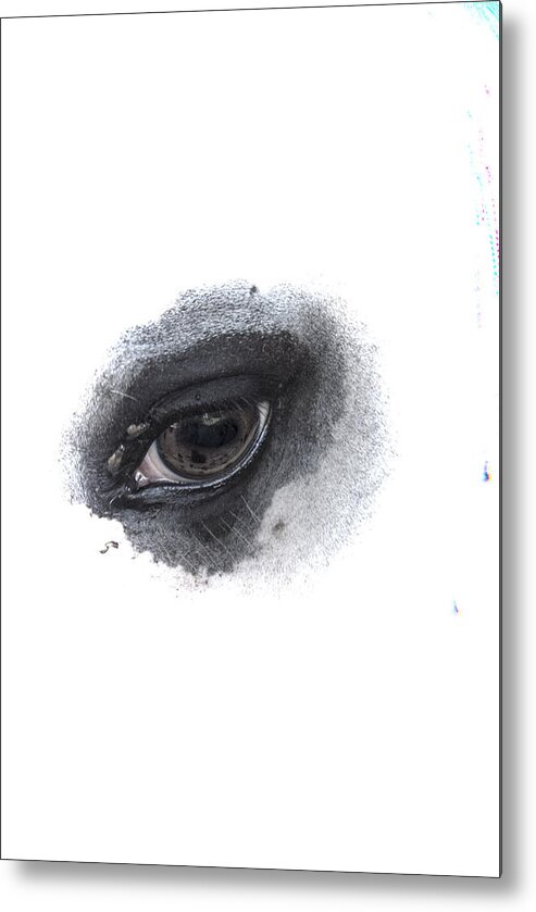 Eye Metal Print featuring the photograph Indys Eye by Judy Hall-Folde
