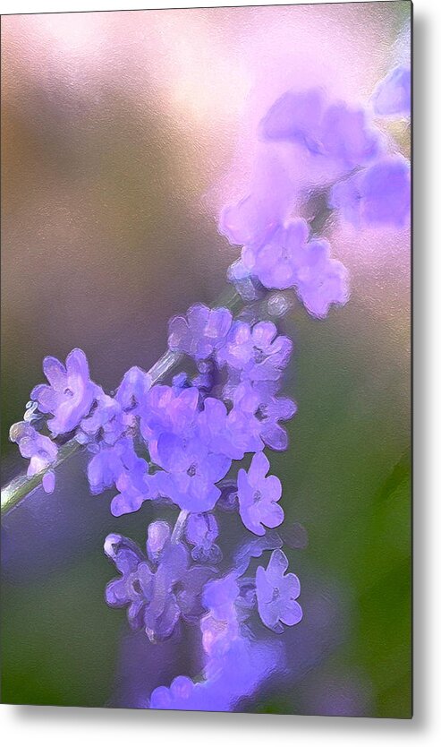 Floral Metal Print featuring the photograph Lavender 3 by Pamela Cooper