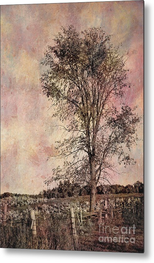 Tree Metal Print featuring the photograph Lonesome Beauty by Aimelle Ml