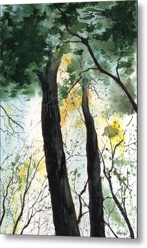 Trees Metal Print featuring the painting Looking Up by Sean Seal