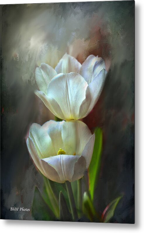 Tulip Metal Print featuring the photograph Majestic tulips by Bonnie Willis