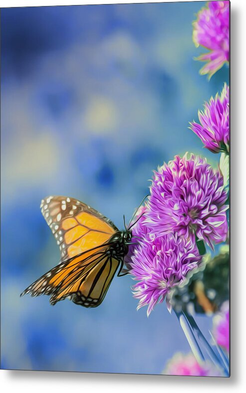 Butterfly Metal Print featuring the photograph Monarch Blues on Chives by Bill and Linda Tiepelman