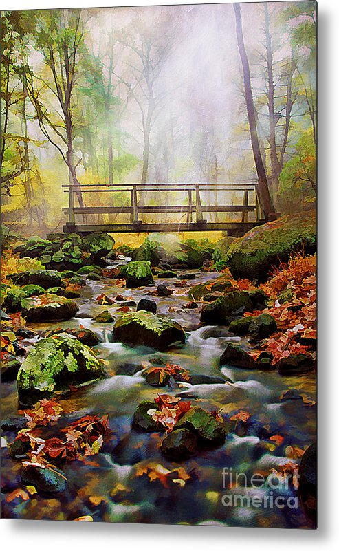 Autumn Metal Print featuring the photograph Morning Light by Darren Fisher