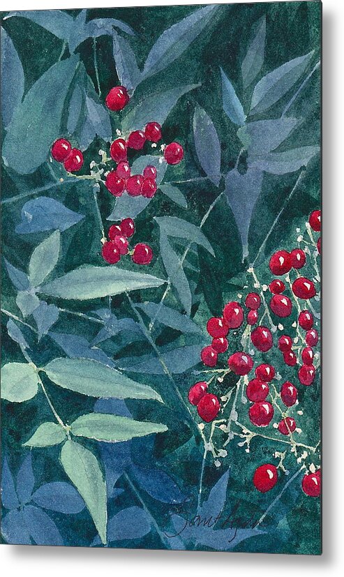 Plant Metal Print featuring the painting Nandina by Frank SantAgata
