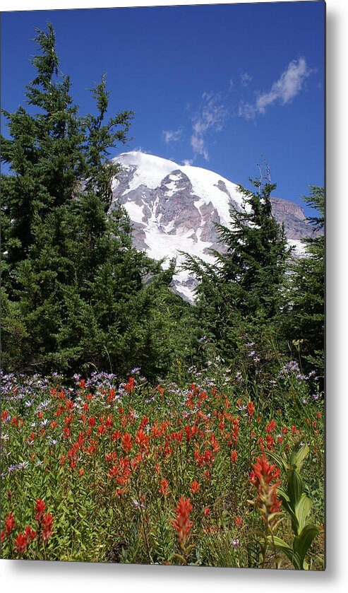 Mount Rainier Metal Print featuring the photograph Paradise by Jerry Cahill