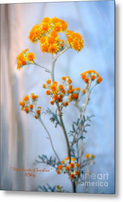 Petite Metal Print featuring the photograph Petite Bursts of Sunshine by Patrick Witz