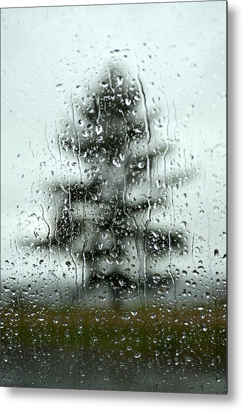 Rain On Window Metal Print featuring the photograph Rain Tree by Douglas Pike