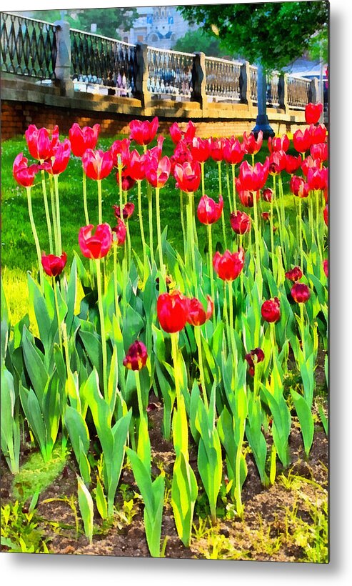 Art Metal Print featuring the photograph Red tulips by Michael Goyberg