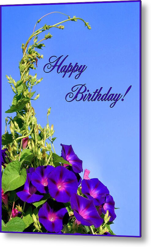 Morning Glory Metal Print featuring the photograph September Birthday by Kristin Elmquist