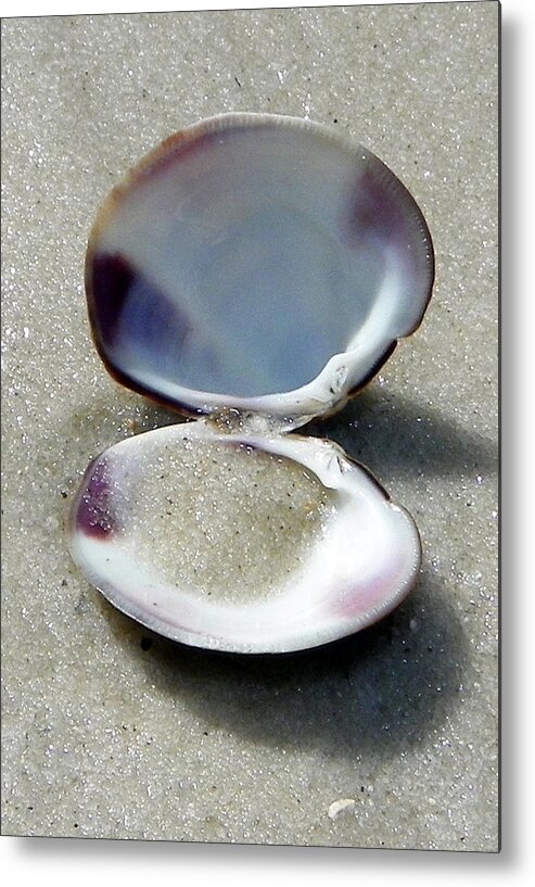 Clam Metal Print featuring the photograph Shell and Sand by Sheri McLeroy