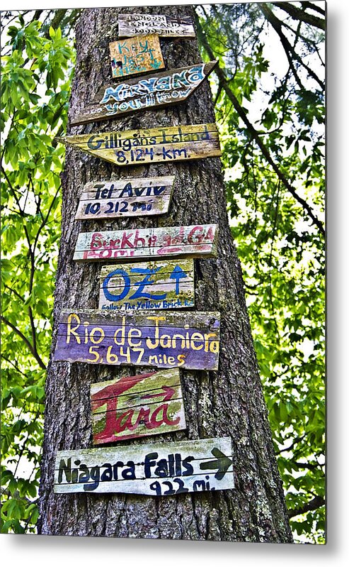 Signs Metal Print featuring the photograph Signs on a Tree by Susan Leggett