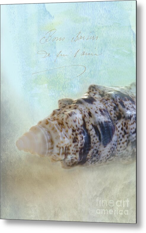 Sea Shell Metal Print featuring the photograph Spotted Auger Seashell by Betty LaRue
