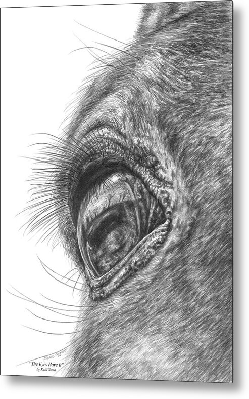 Arabian Metal Print featuring the drawing The Eyes Have It - Horse Portrait Closeup Print by Kelli Swan