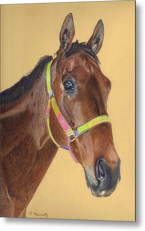 Art+prints Metal Print featuring the painting Thoroughbred by Patricia Barmatz