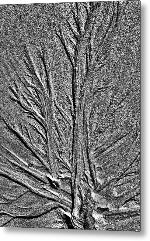 Sand Metal Print featuring the photograph Tree Of Life In The Sands Of Time HDR conversion by Glenn Gordon