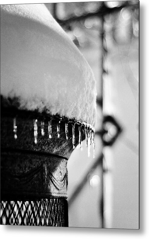 Icicles Metal Print featuring the photograph Winter Love by Rebecca Sherman