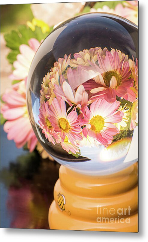Photography Metal Print featuring the photograph Busy Bee #1 by Deborah Klubertanz