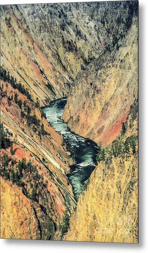 Rivers Metal Print featuring the photograph Canyon Jewel by Kathy McClure